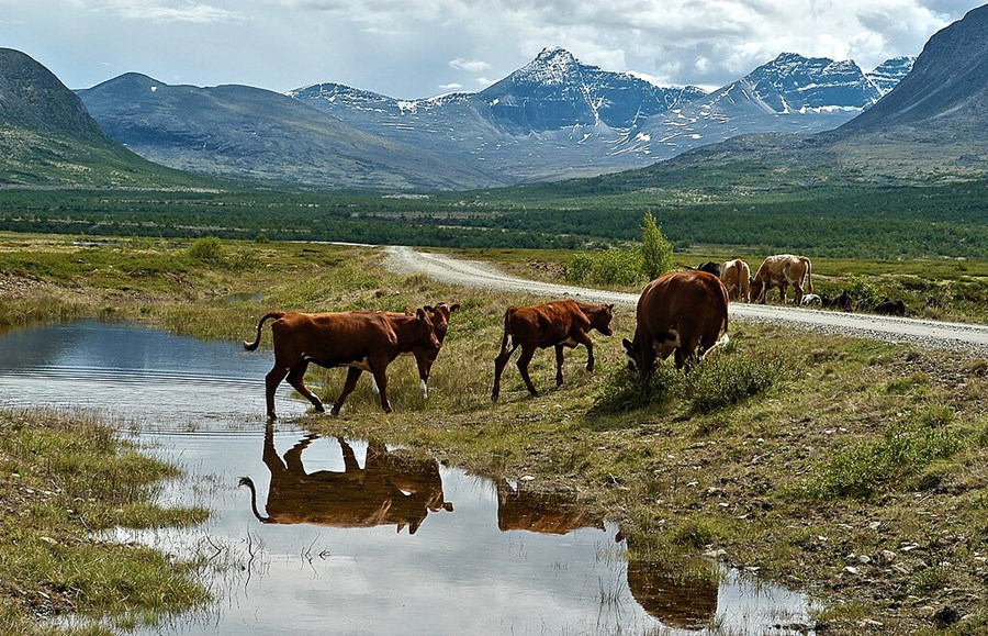 Frá 75 ára afmæli norsku búvörusamninganna