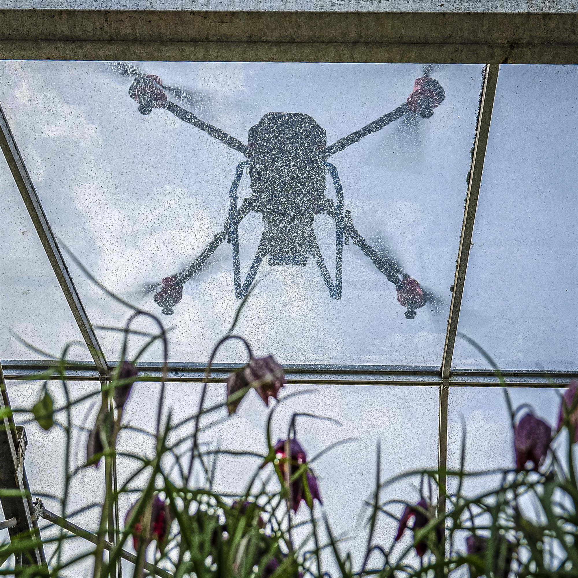 Notkun dróna í kornrækt