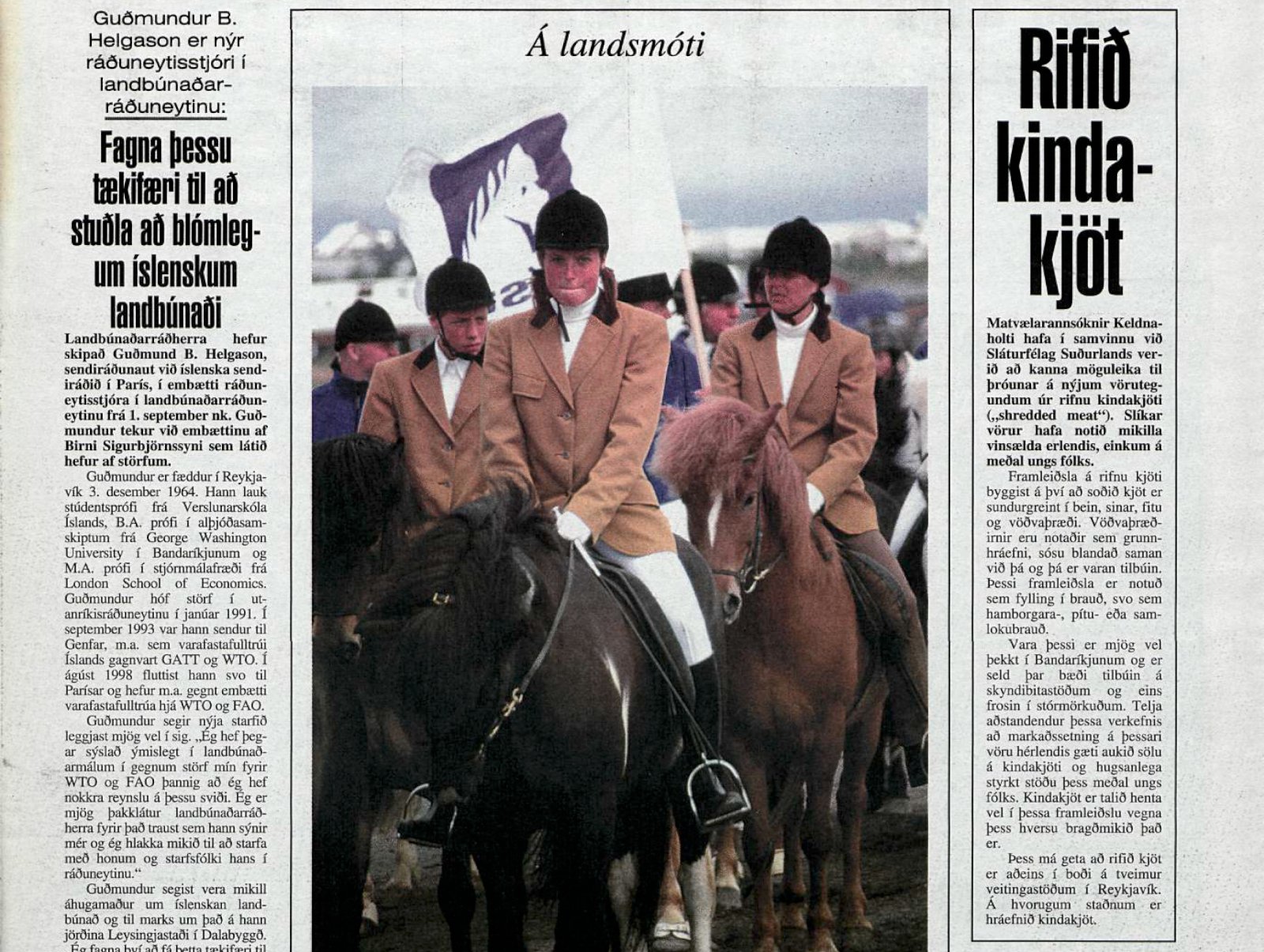 Hvað varð um rifna kindakjötið?