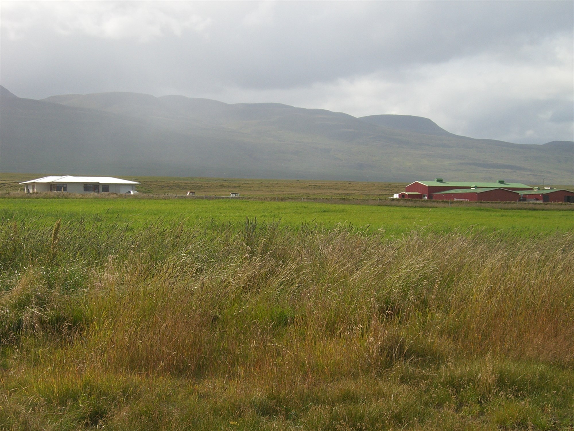Þrjátíu ára gjöfult ræktunarstarf á Syðra-Skörðugili að enda komið