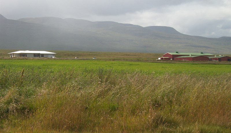 Þrjátíu ára gjöfult ræktunarstarf á Syðra-Skörðugili að enda komið