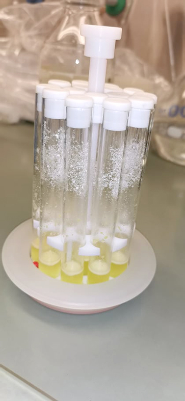 Áhrif fóðurs á innihald mjólkur