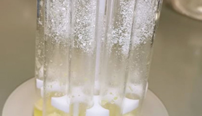 Áhrif fóðurs á innihald mjólkur