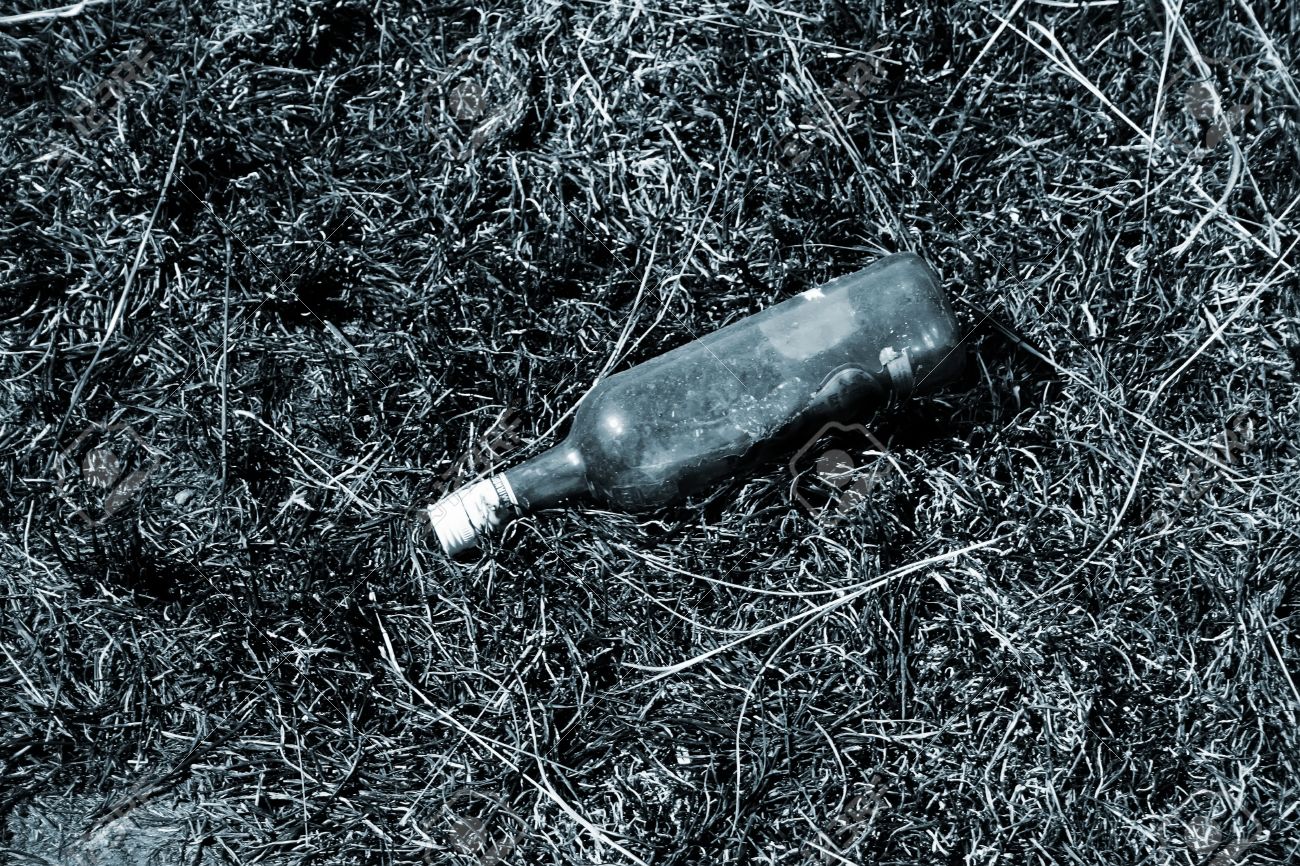 Fl&#246;skudraugur og galdraofs&#243;knir