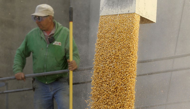 FBI handtekur mann fyrir stuld á erfðaefni plantna