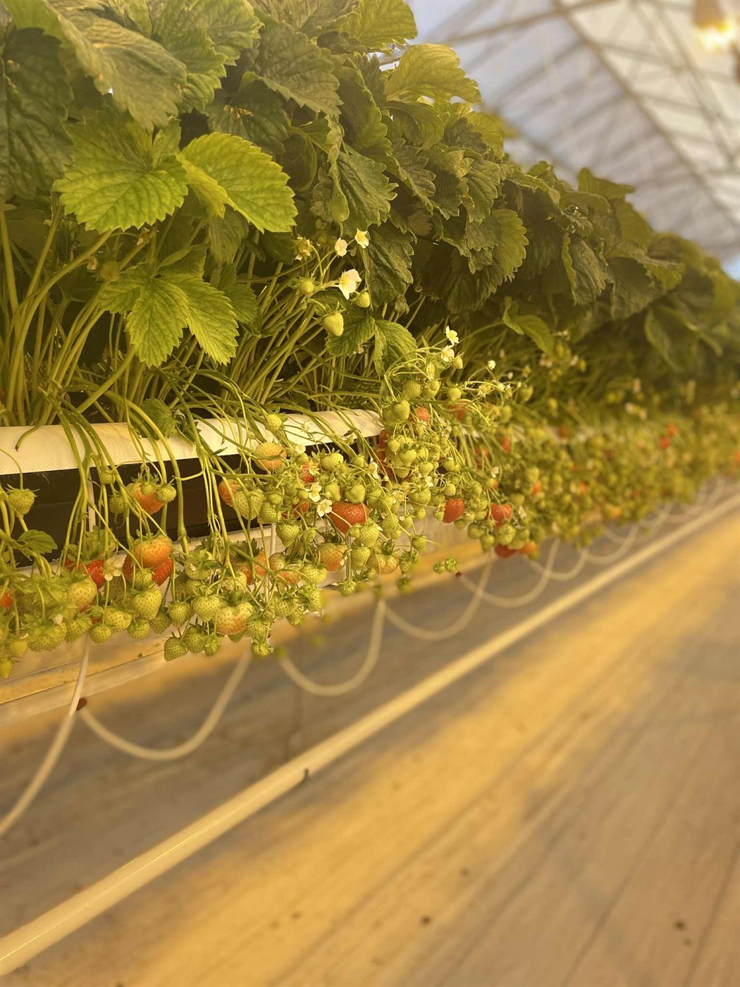 Hvað er íslensk menning án landbúnaðar?