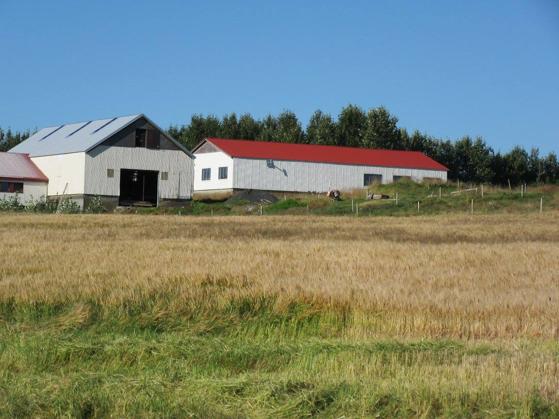 Lækjartún 2 / Tyrfingsstaðir