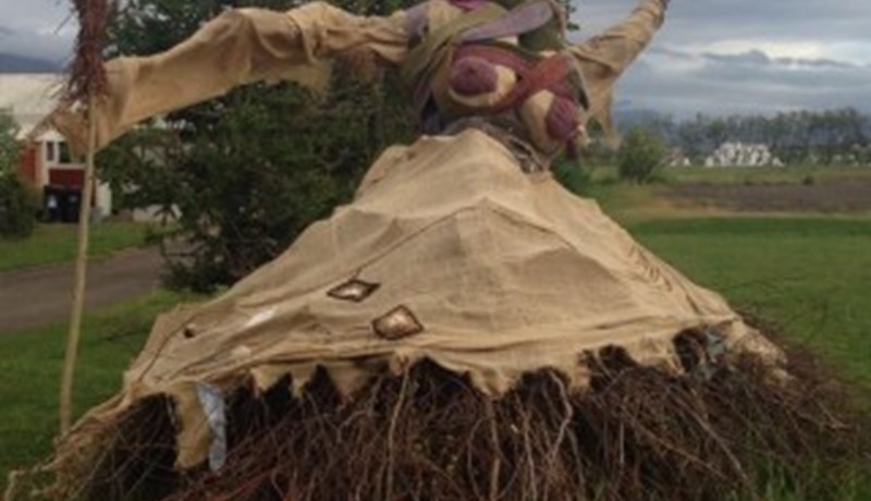 Fuglahræður komnar á stjá í Eyjafjarðarsveit