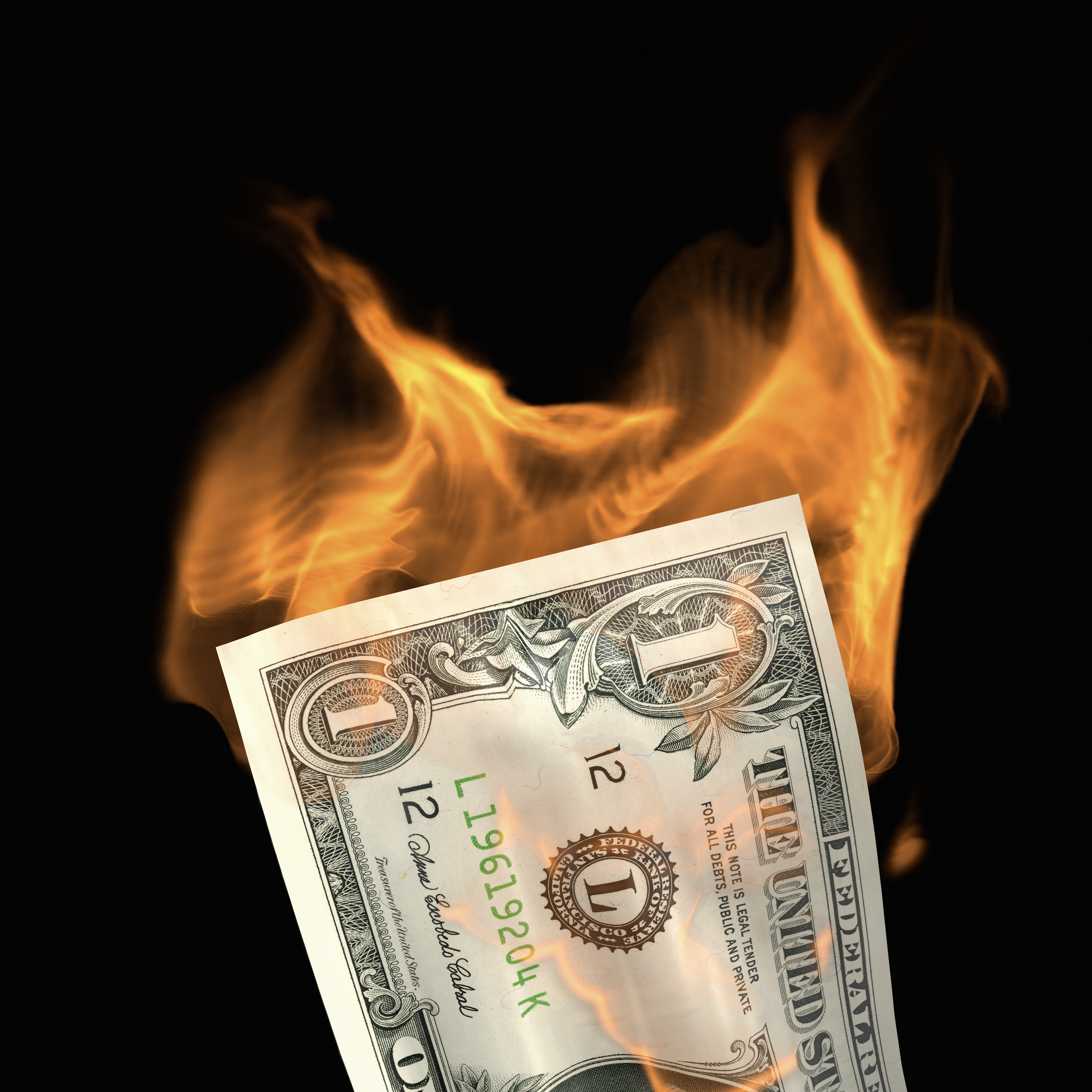 Fjárfest í skógareyðingu