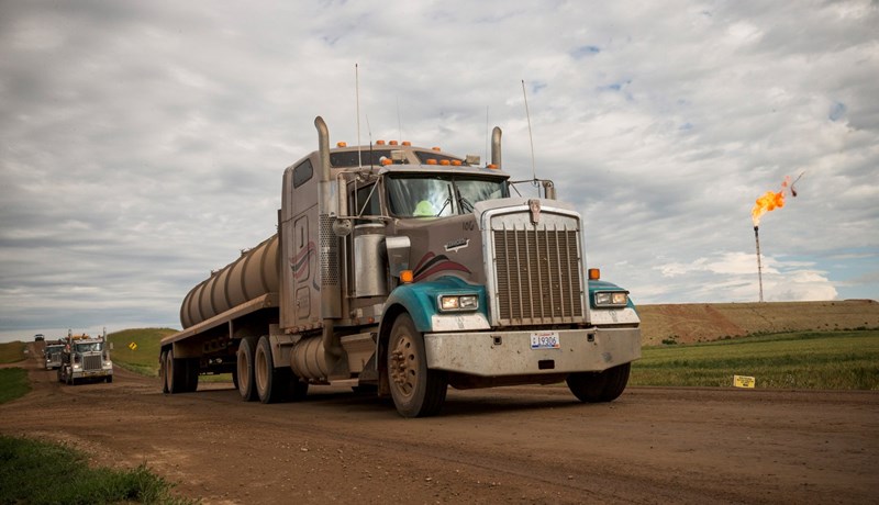 Stækkun vegakerfa hættuleg náttúrunni
