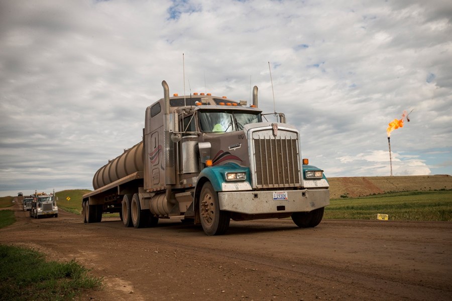 Stækkun vegakerfa hættuleg náttúrunni