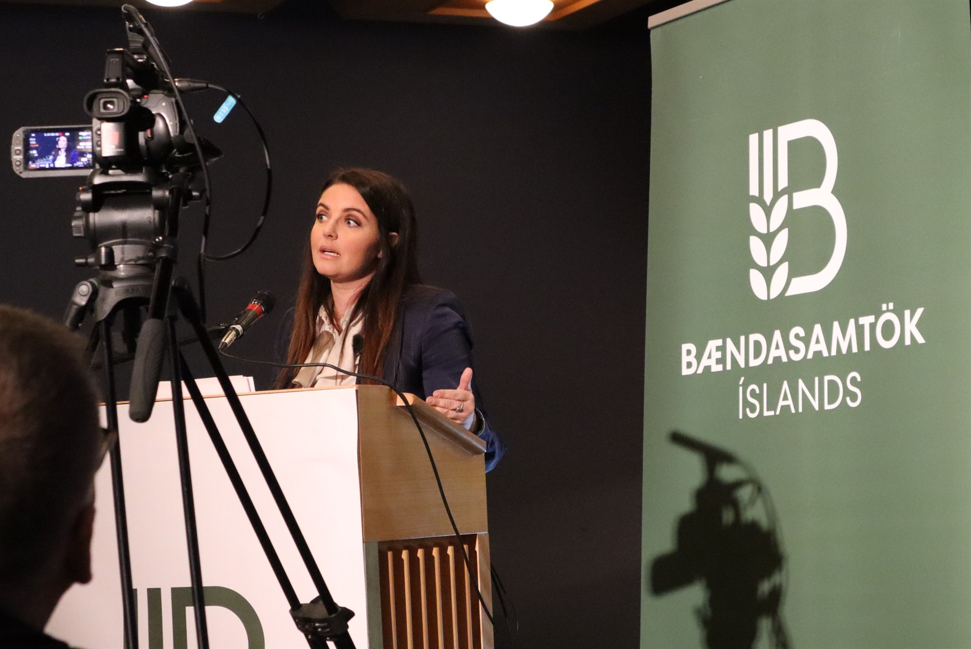 Vegurinn áfram mun ráðast af nýliðun og nýsköpun