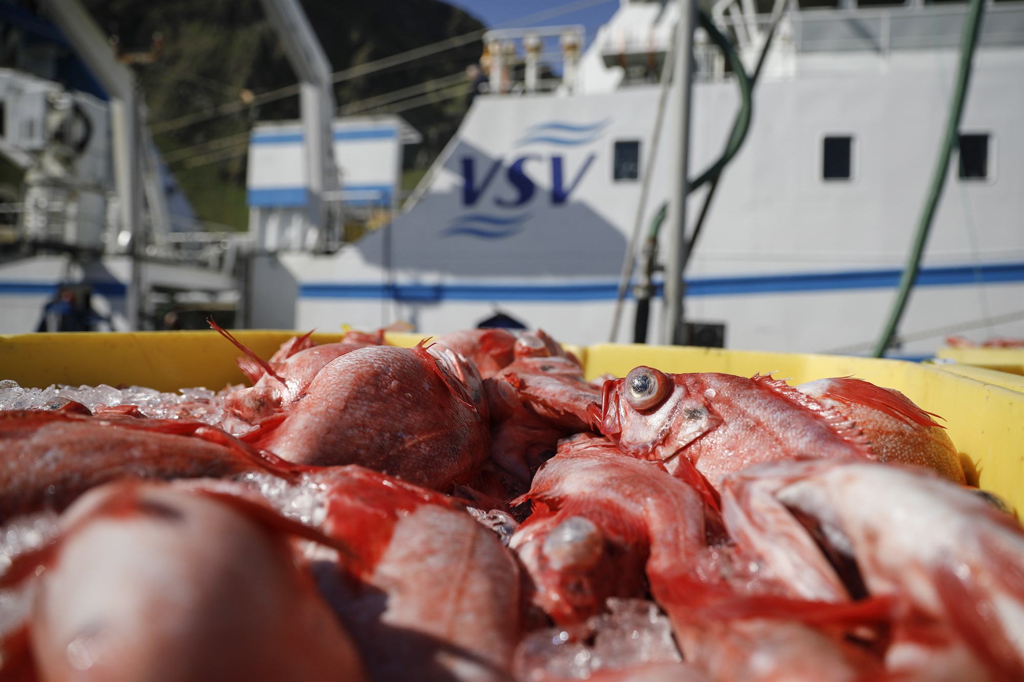 ,,Auðveldara að ásaka en útskýra“