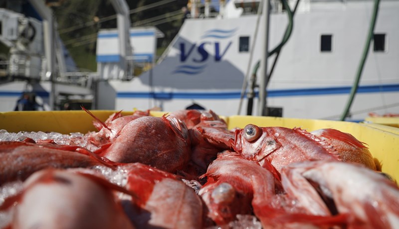 ,,Auðveldara að ásaka en útskýra“