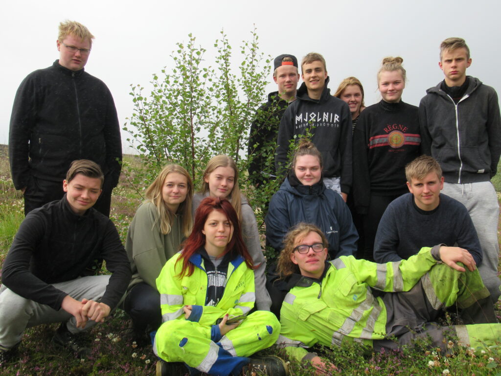 Endurheimt íslenskra birkiskóga
