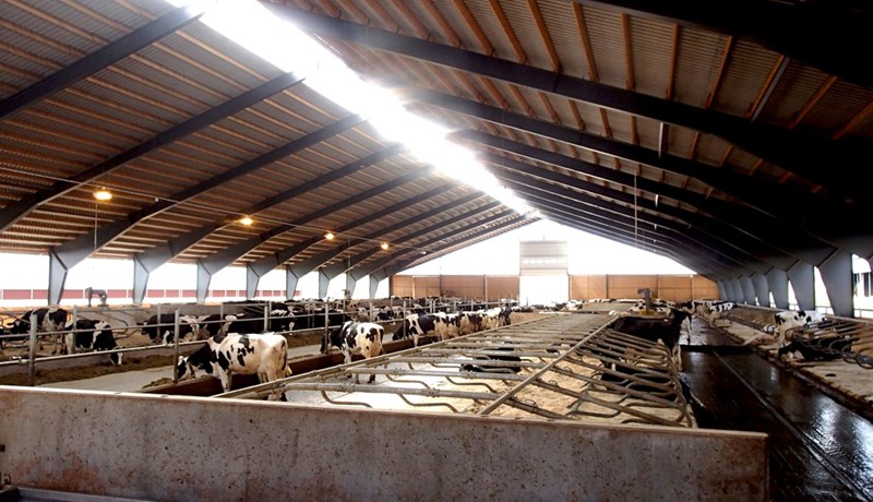 Stærsta mjaltaþjónabú Norðurlanda