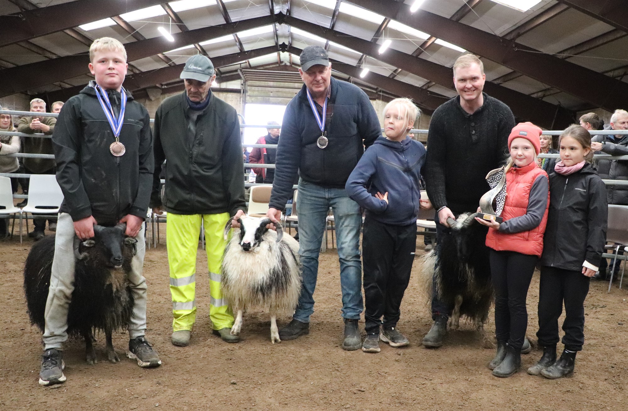 Mislitt fé í hávegum haft