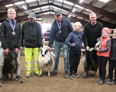 Mislitt fé í hávegum haft