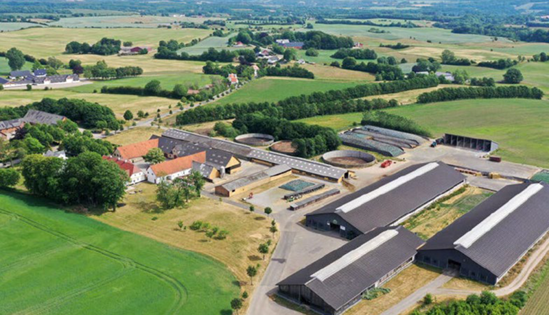 Fagþing dönsku nautgriparæktarinnar 2024 - Annar hluti