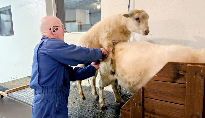 Dýrmæt erfðaefni dreifast víða