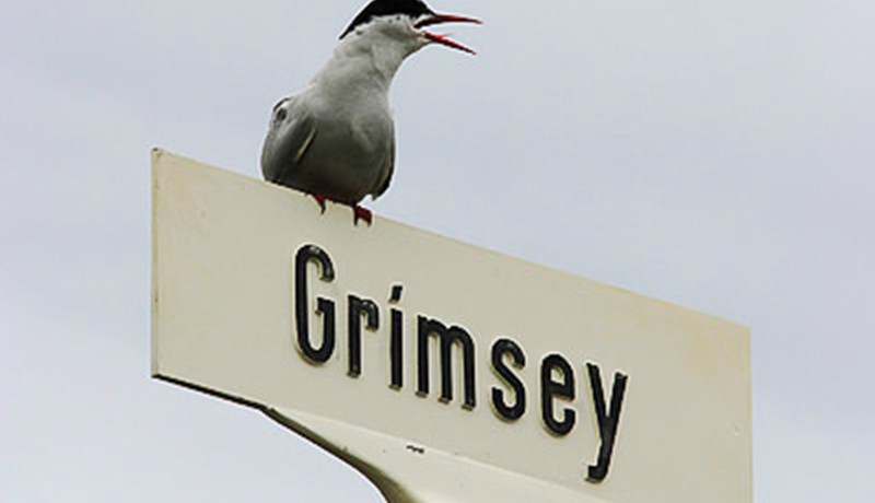 Mesti orkukostnaðurinn er í Grímsey