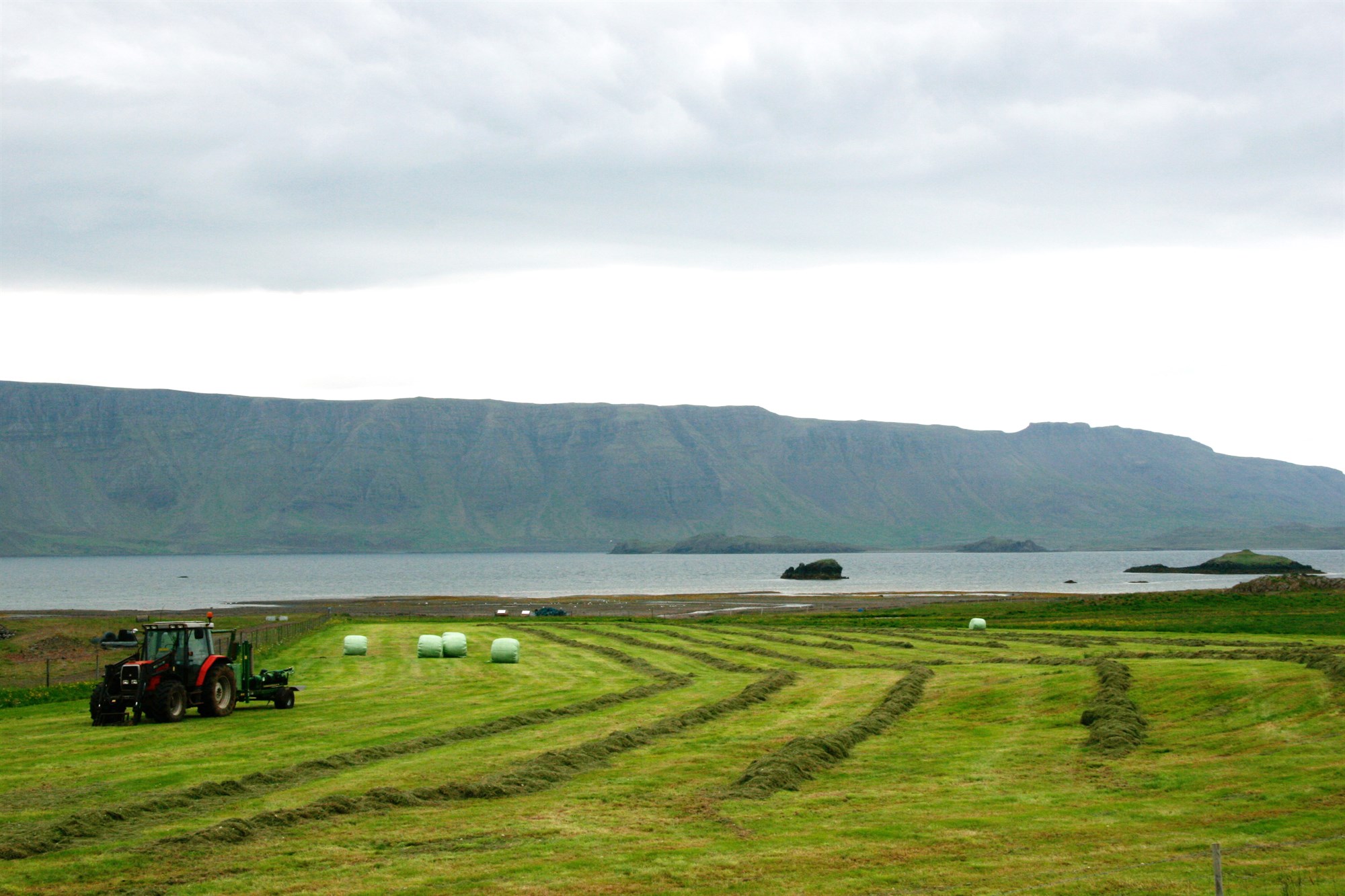 Almannagæði og kolefnissamlag
