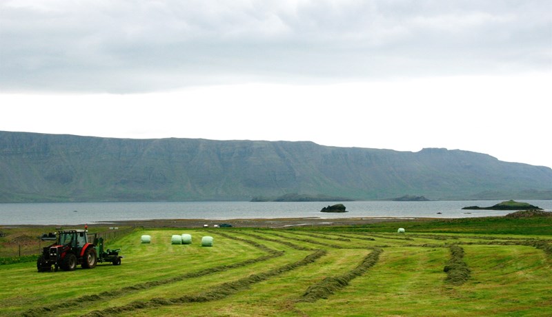 Almannagæði og kolefnissamlag