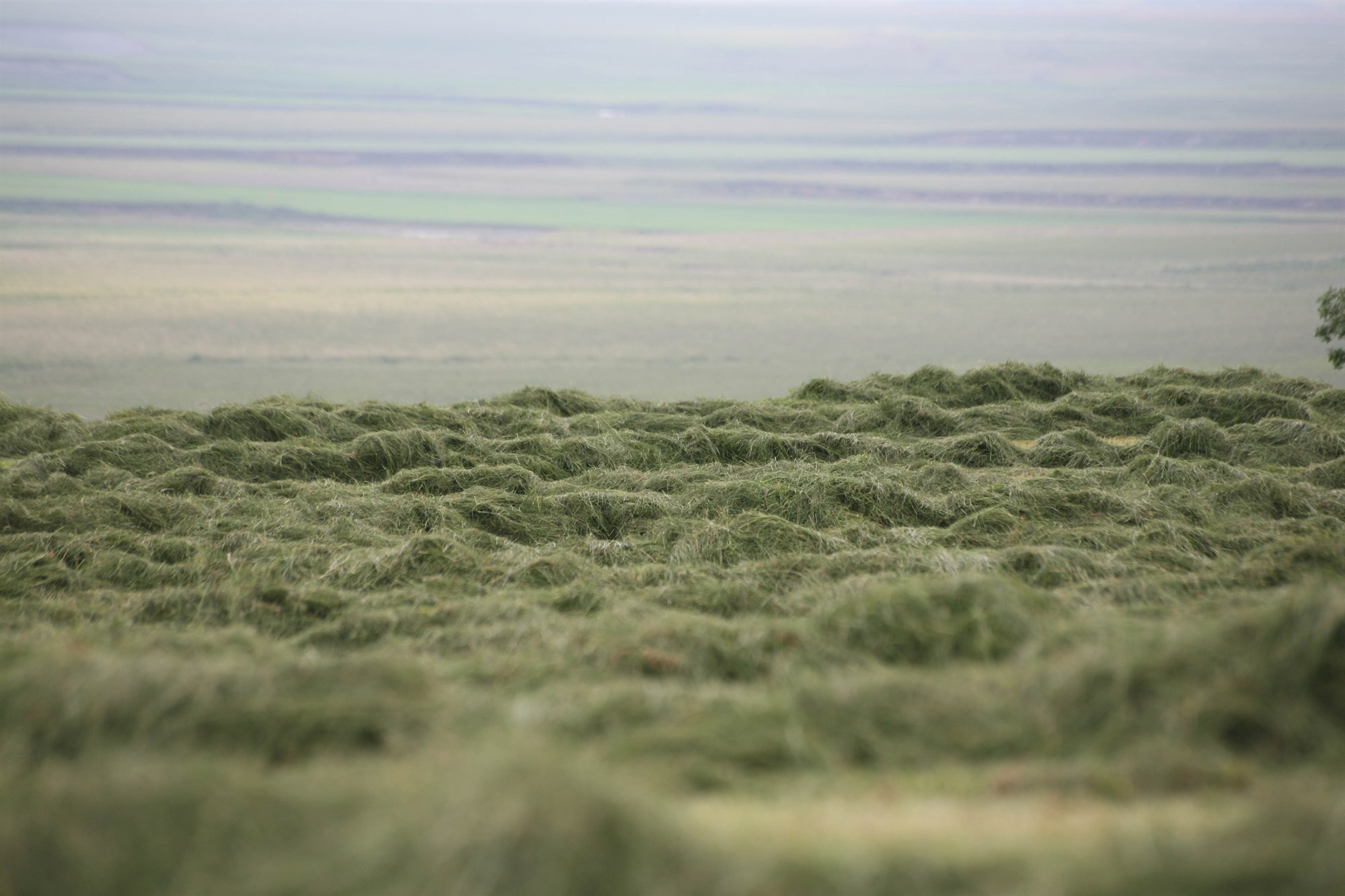 Greiddu 465 milljónir kr.