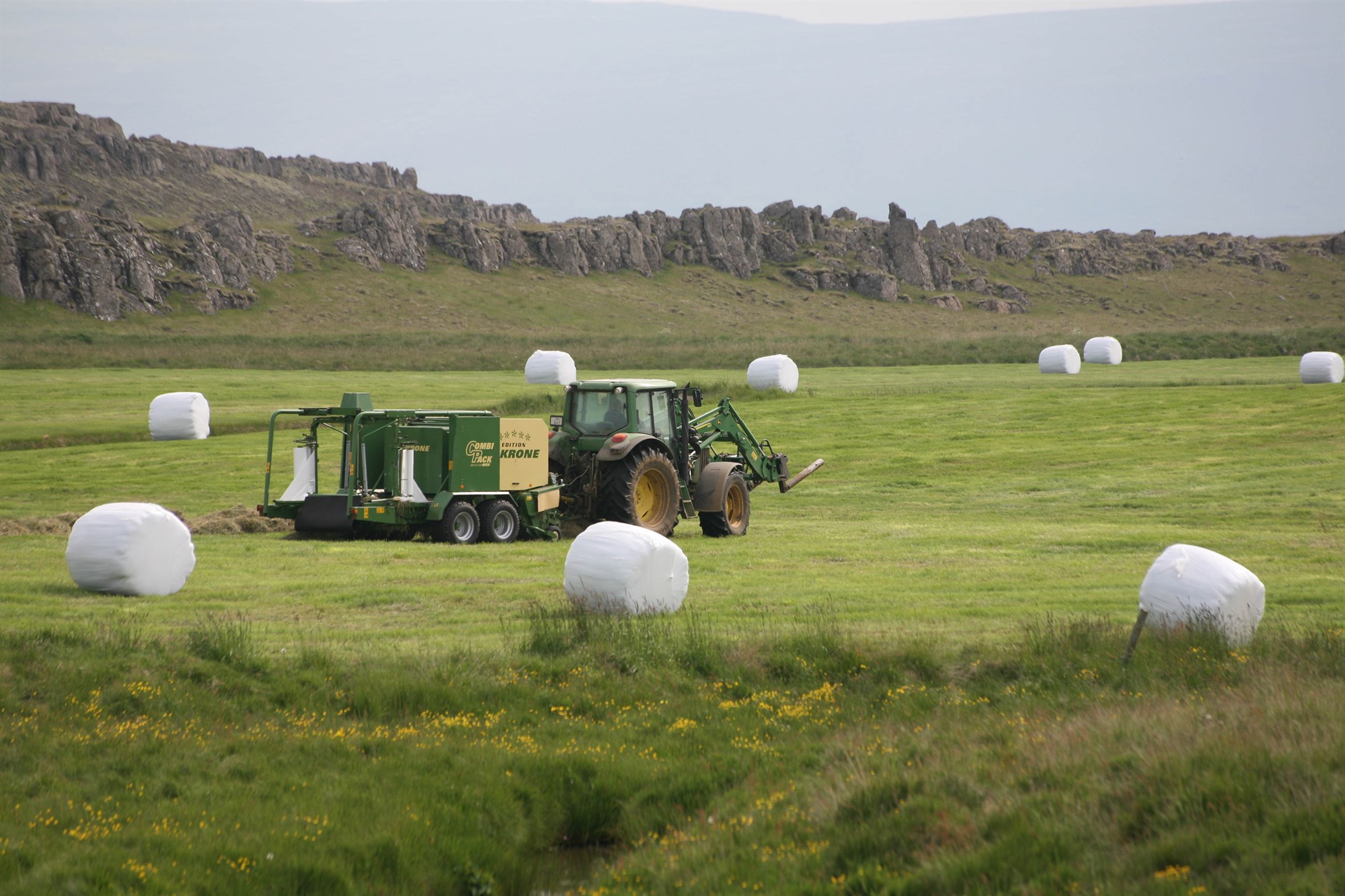 Fæðuöryggi og varnir Íslands