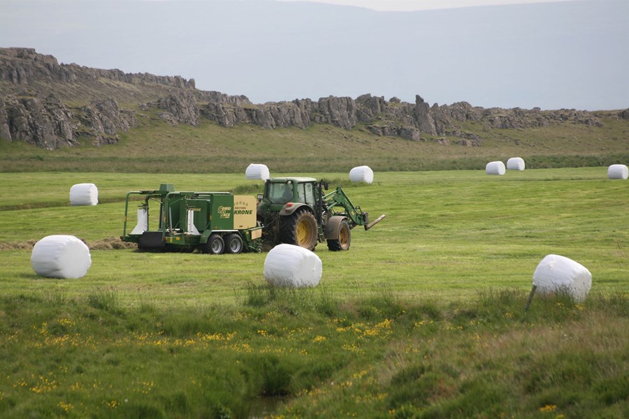 Fæðuöryggi og varnir Íslands