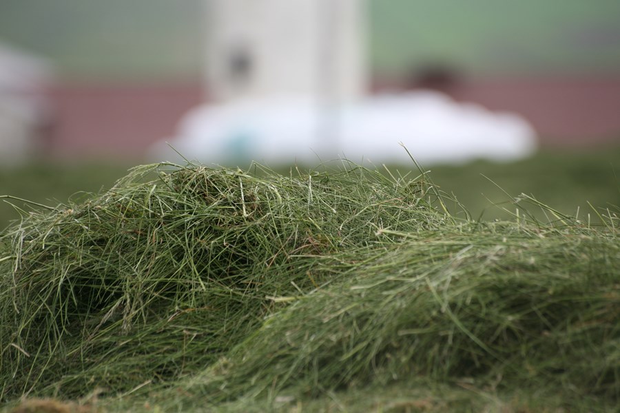 Minnumst mikilvægi heyefnagreininga