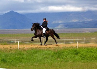 Fengur frá Krossi er kominn í leitirnar.