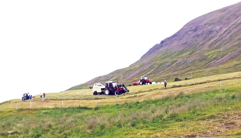 Kalt sumar hefur sett strik í heyöflun bænda