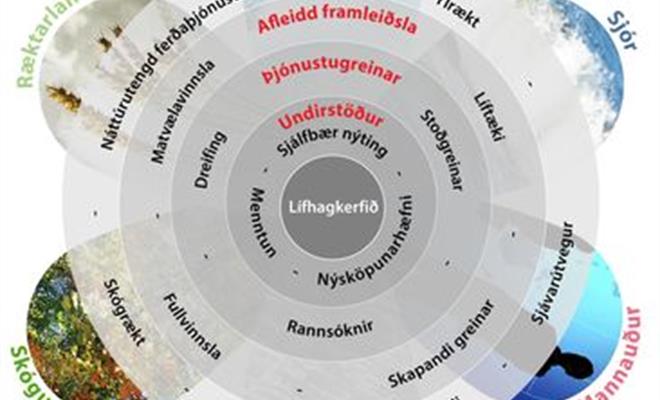 Lífhagkerfisstefna fyrir Ísland