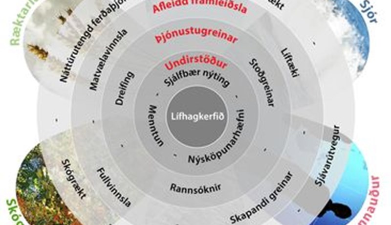 Lítil skilgreining á lífhagkerfi