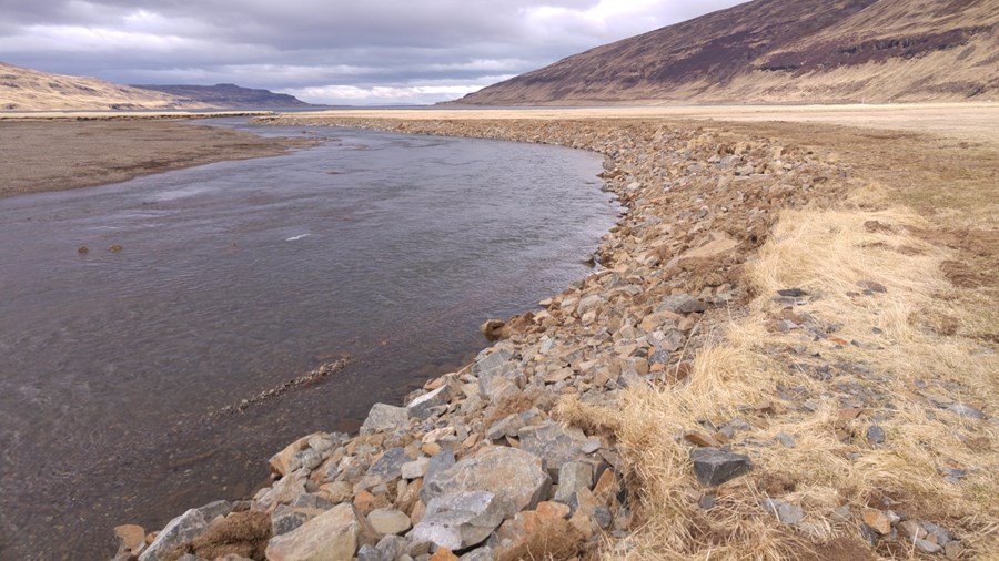 Viðkvæm svæði liggja undir skemmdum