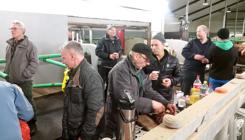 Opið fjós í Fellshlíð í Eyjafjarðarsveit