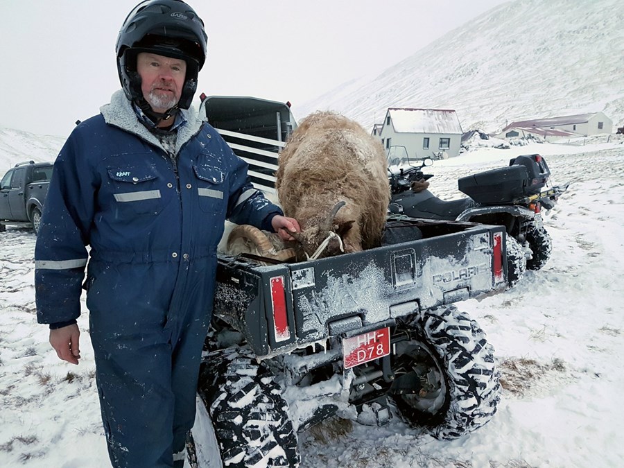 Arnór Gunnarsson sleppti ekki takinu af eftirlegukindunum.