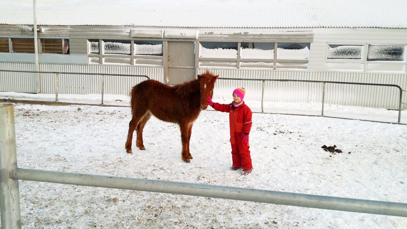 Mikill dýravinur sem finnst gaman að skoða náttúruna