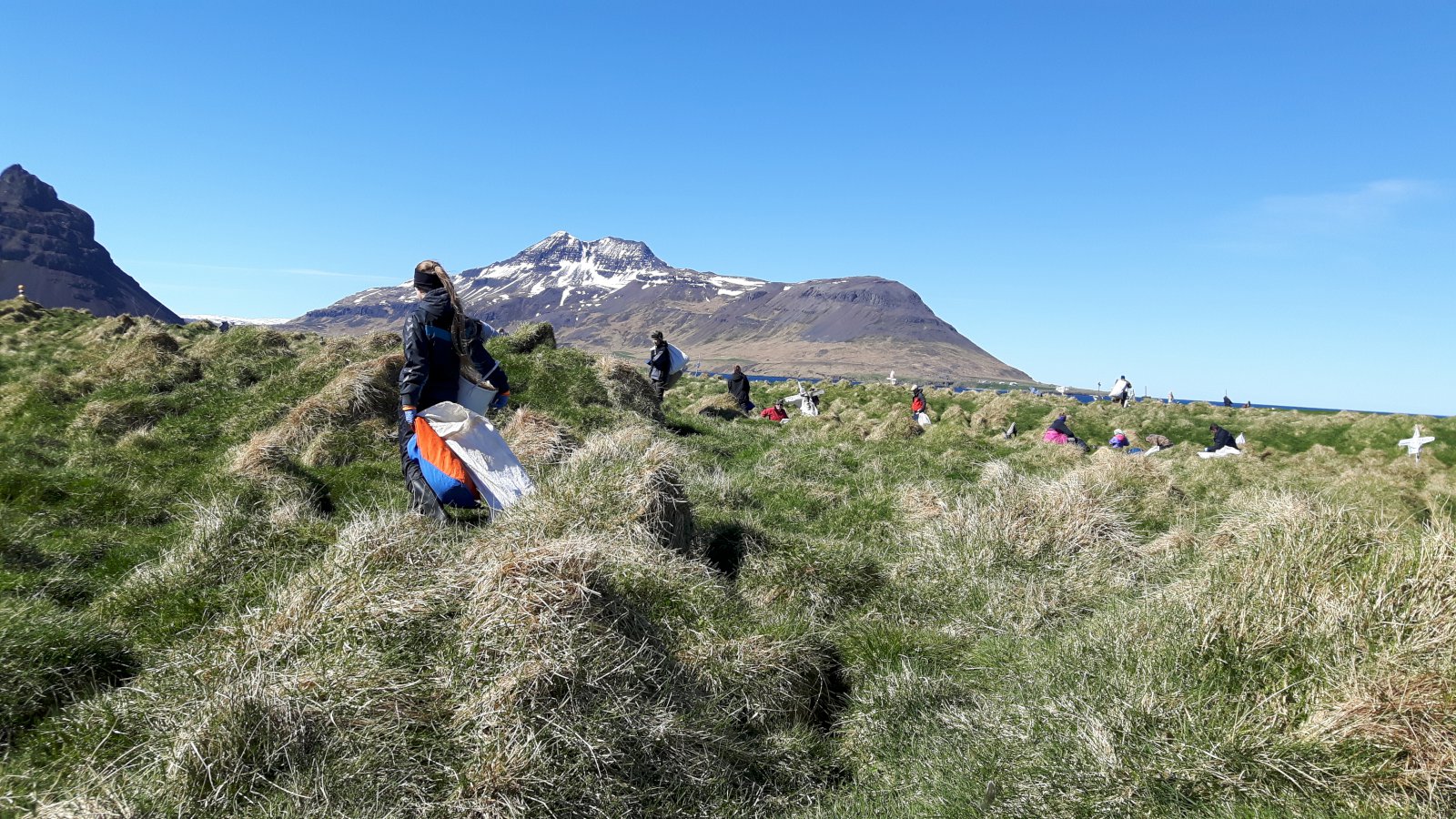 Blautt vor og kollurnar skilu&#240;u s&#233;r illa