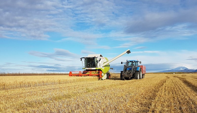Lífland keypti um tvö hundruð tonn af byggkorni frá Laxárdal