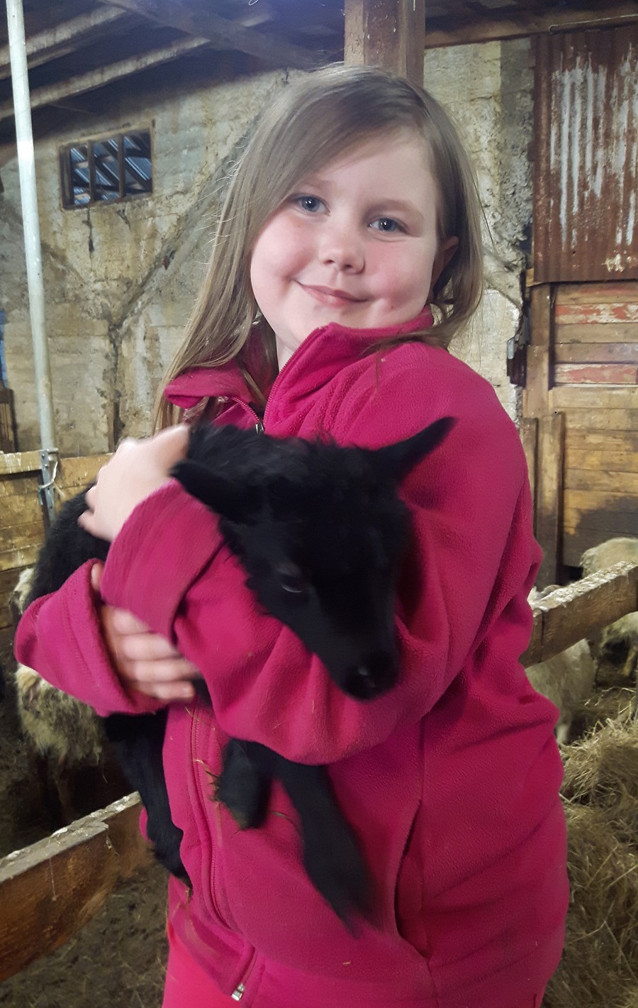 Á myndinni er heimasætan, Heiðdís Guðrún Jóhannsdóttir, kampakát með eitt þessara snemmbornu lamba í fanginu.