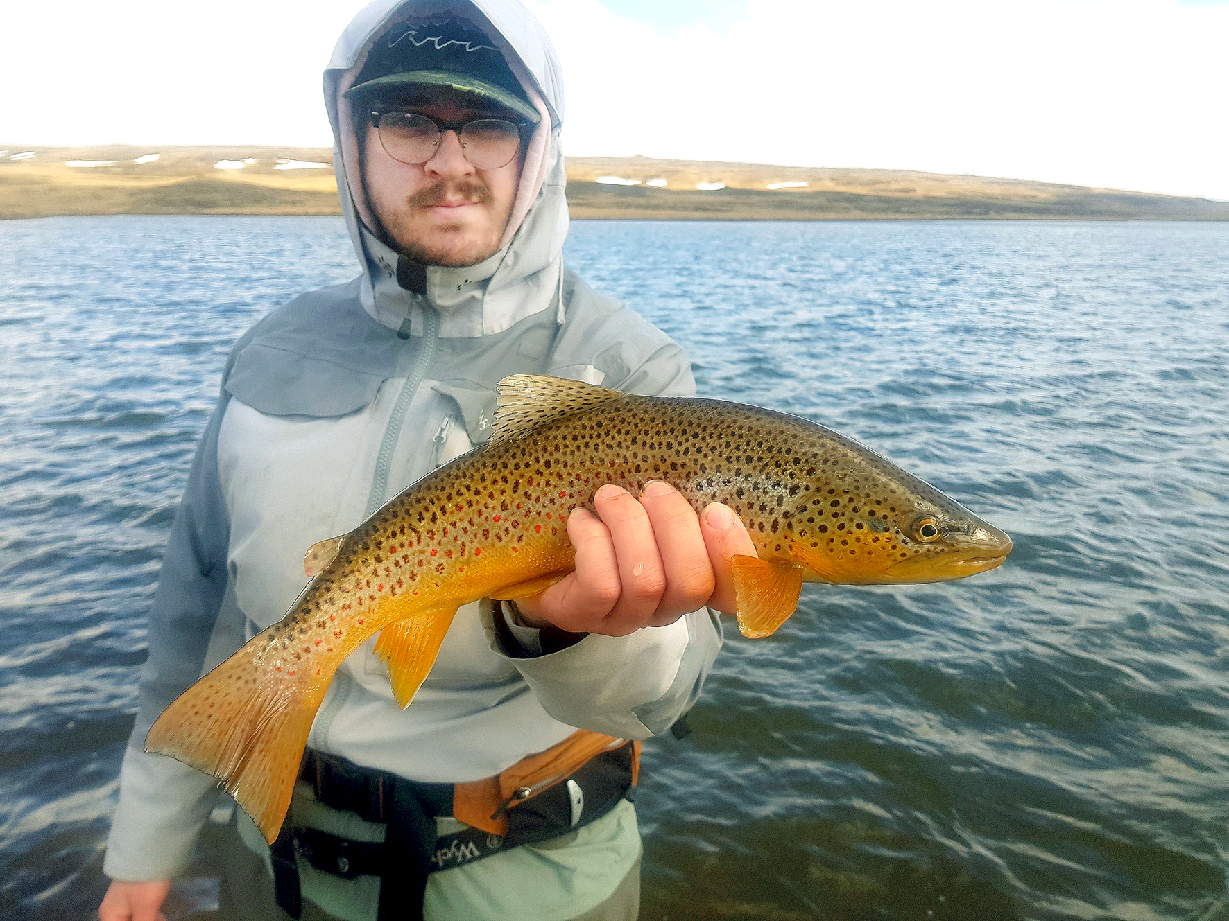 Silungurinn tók þegar fór að hlýna