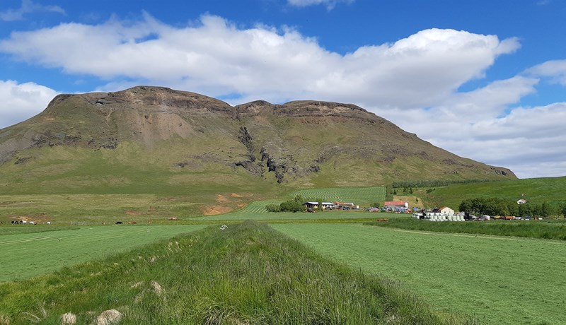 Birnustaðir Skeiðum