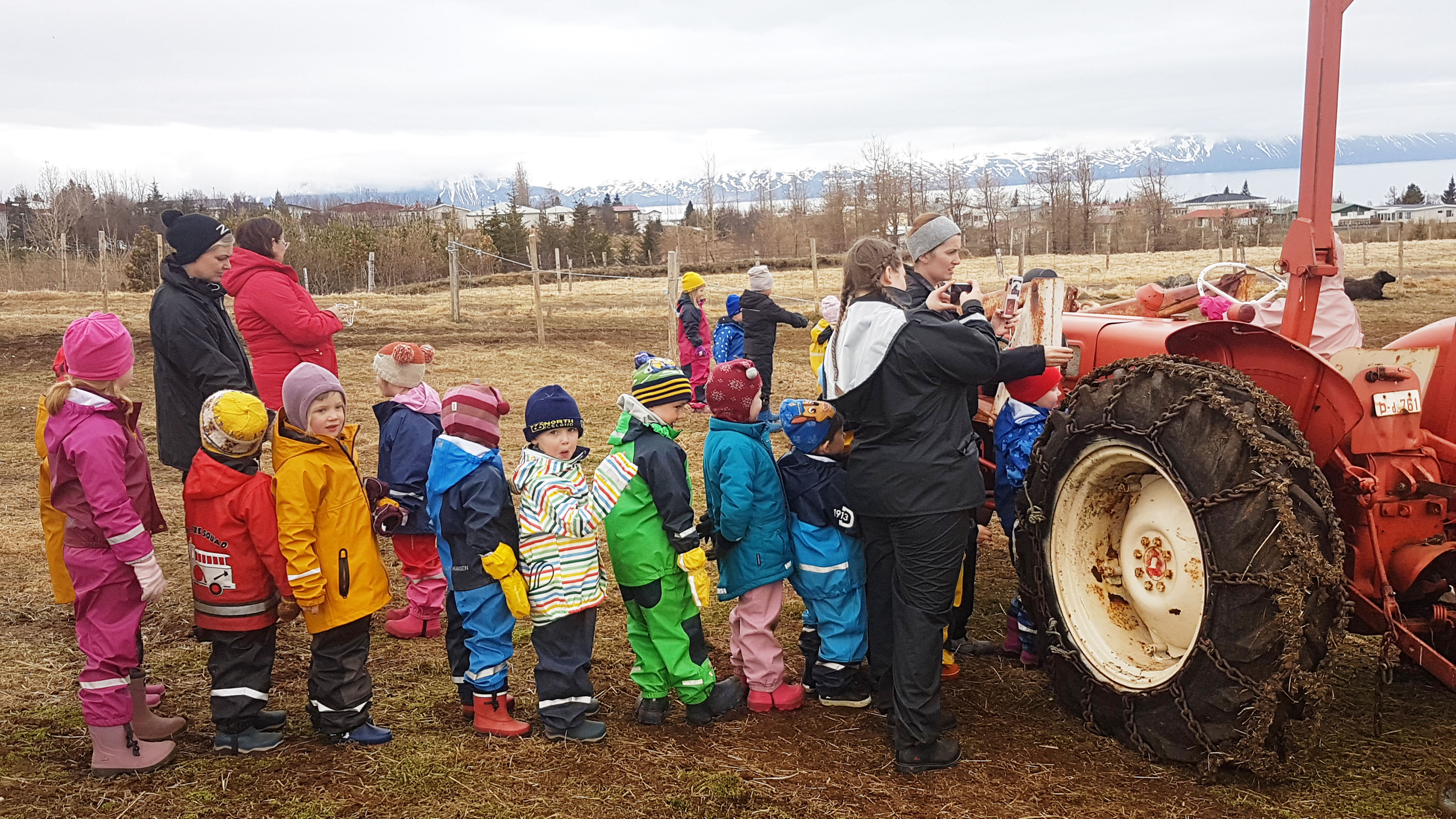 Líf og fjör í Grobbholti við Húsavík