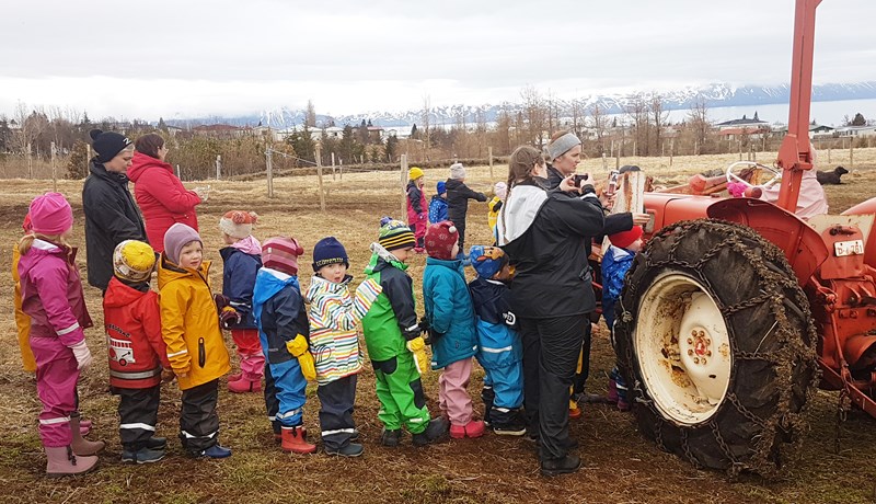 Líf og fjör í Grobbholti við Húsavík