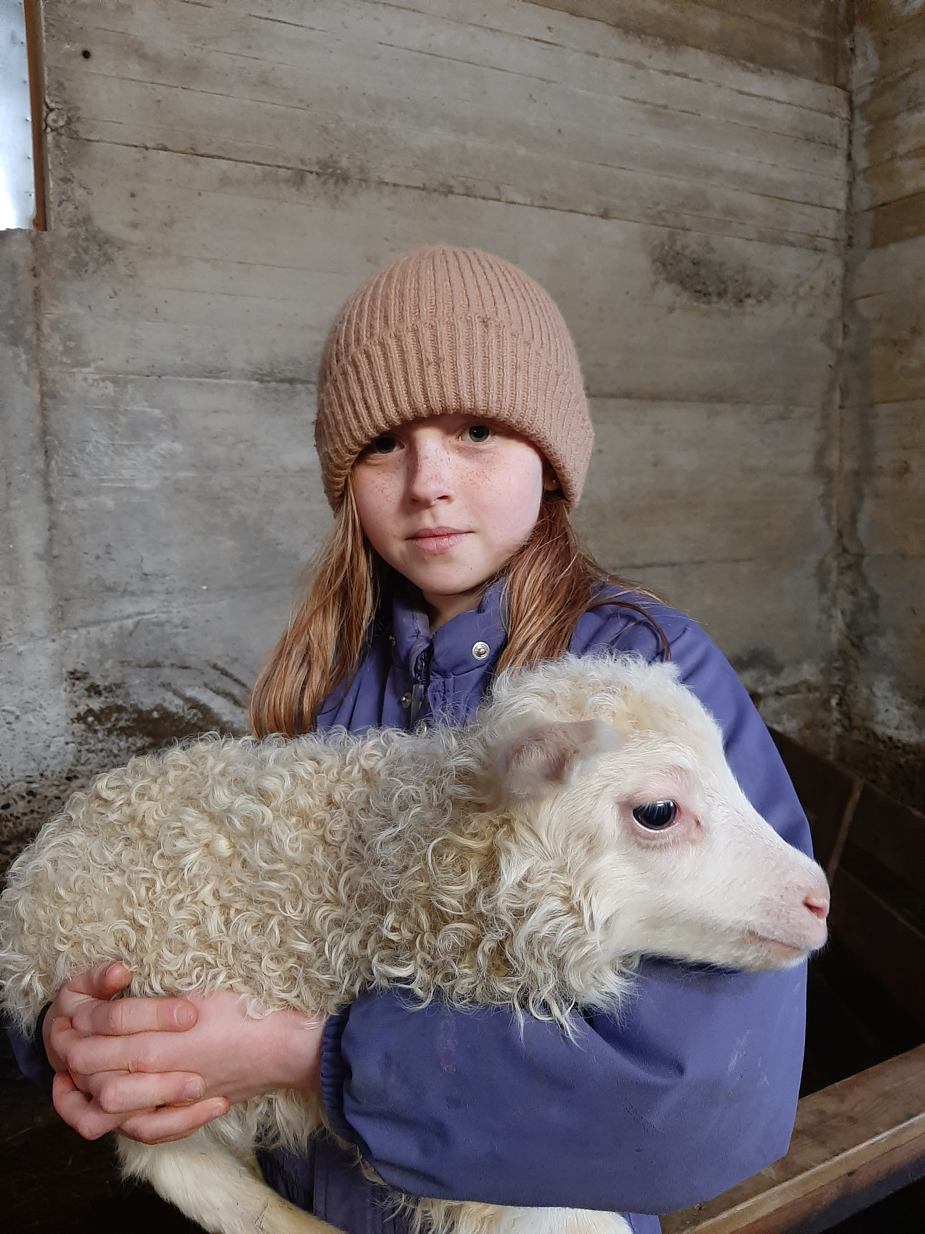 Þegar ég fór fyrst á hestbak