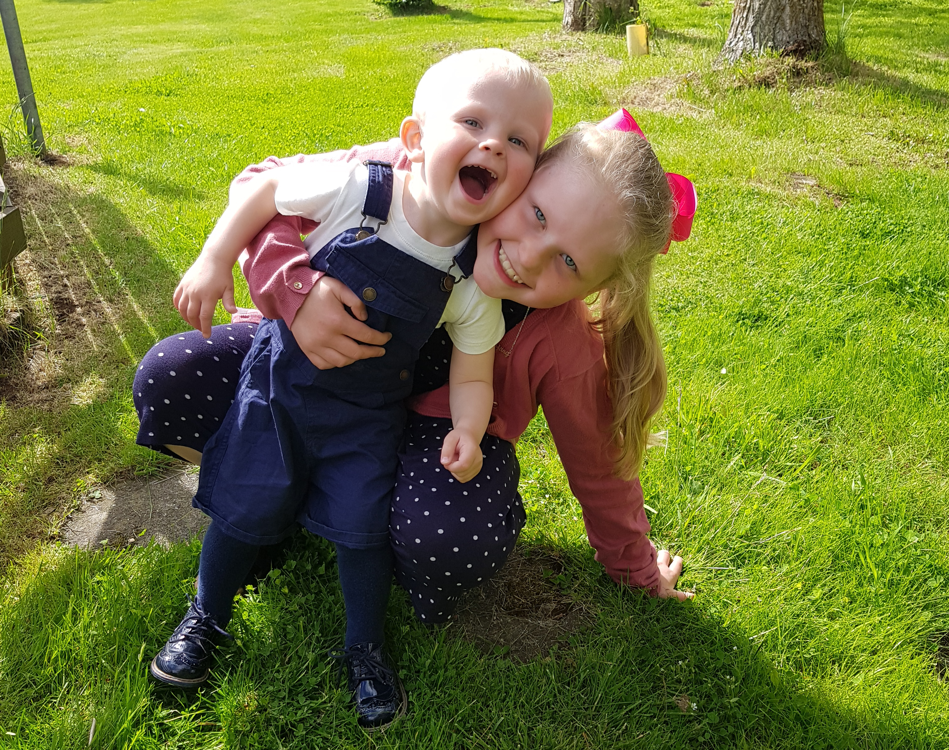 Hundar, hestar, kanínur og geitur