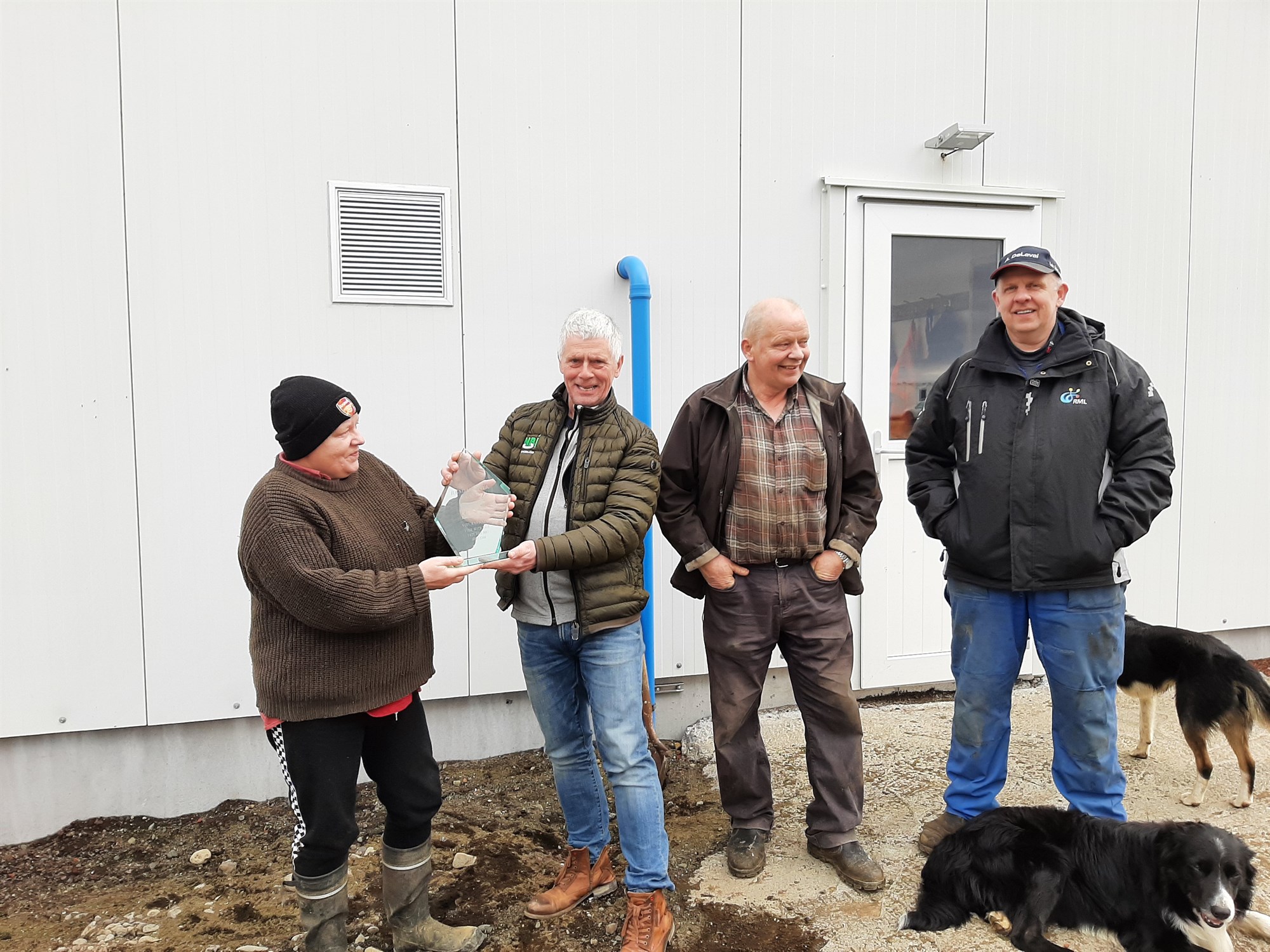 Jörfi frá Jörfa í Borgarbyggð stendur nú hæstur allra nauta í kynbótamati 