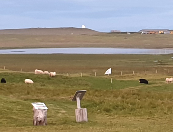 Ágangur, lög og ólög